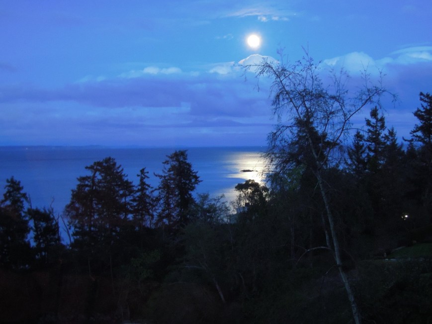 Full Moon Blue Heron Yoga